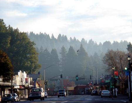 Guerneville in Winter 