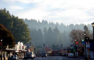 Guerneville in Winter 